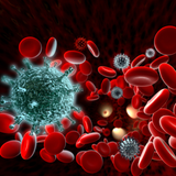 wwk.wikikids.com.immunesystem