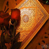 mah.rezamakanism.estkharehah