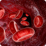 buy.ghodrat.kamkhooni