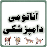 com.anatomy.vet