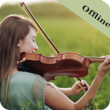 com.devitech.violin