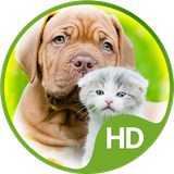 com.easy_wallpapers.sweet