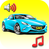 com.mygoodtonesinc.carsrts