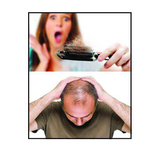 ir.mobinnajafi.rizeshemu