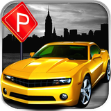 com.dumadugames.parking