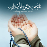 Ali.mrt.amin