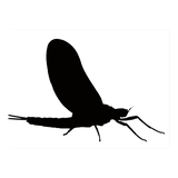 matchahatch.com.matchahatch