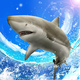 co.jp.pascal.wildsharkfishing