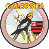 com.alienapps42.calopsitaa_fla