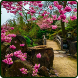 ikyaglobal.naturewallpapers