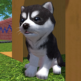 com.vARDAmirsGameStudio.CutePocketPuppy3DPart2