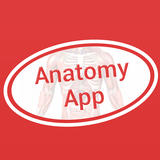 com.letsnurture.anatomy