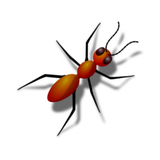 com.sourabhdubey7296.AntSmasher