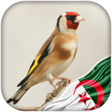 com.hassoun.maknin.algerie