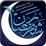 systel.mehman