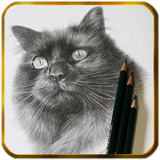 drawinpencil.bujaralapiz.learntodraw