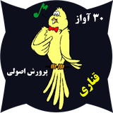 ir.rezabahrami.canary