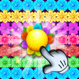 blossom.garden.flower.shop