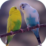 com.sra_ht.ghanare