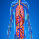 com.shegeftyensan.myapp