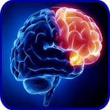 com.andromo.dev738202.app853333
