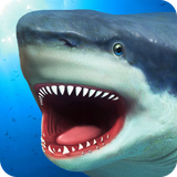 com.Snow.Shark