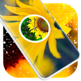 paris.sunflower.clock.lwp