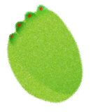 org.sptg.ieda.succulentleight