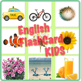 com.app.english.flashcard