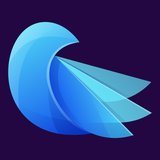 io.canarymail.android