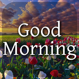 com.internetdesignzone.goodmorningmessages