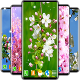 spring.blossom.live.wallpaper