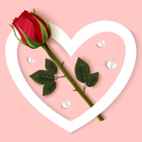 com.bamapp.LoveQuotes