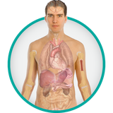 com.Ziaerezvan.pezeshk_khanevadeh