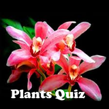 com.raru.plantsquiz