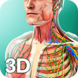 com.visual3dscience.humananatomy