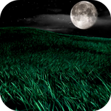 beautifulnight.ihs.com