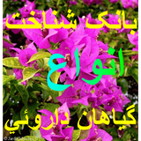 ir.bankdaro