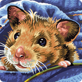 com.droidcorp.hamsterpuzzles