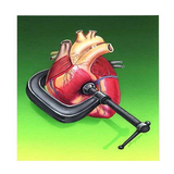 com.fesharkhon.fesharkhon