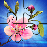 com.derevenetz.oleg.sakura