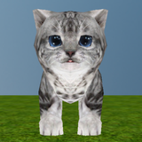 com.mokuapps.CatClicker