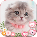 com.free.app.wallpaper.lock.screen.security.smooth.efficiency.launcher.theme.cute.kitty.cat