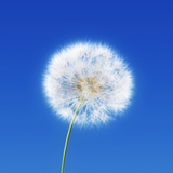 com.accessconsciousness.android