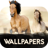 com.david_wallpapers.horses