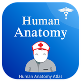 com.humananatomy.anatomyposition