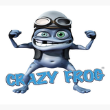 com.crazyfrog.aslam.dev