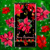 christmas.flowers.poinsettia.hd.wallpaper.free