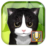 com.akrasoft.talkingkittens