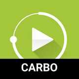 com.mrgreensoft.nrg.player.skin.carbo